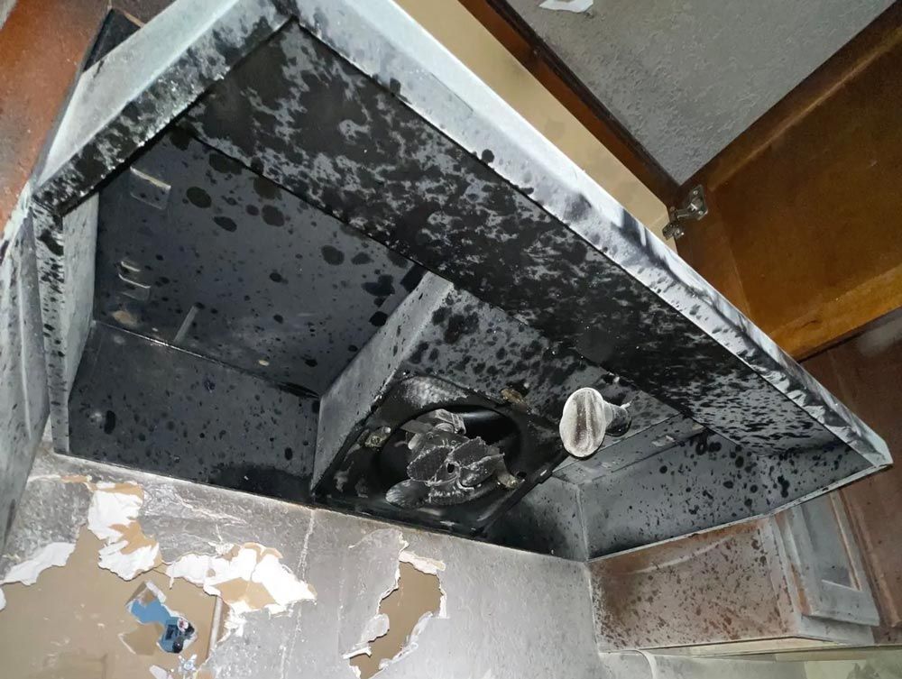 Water Damage Restoration Near Me