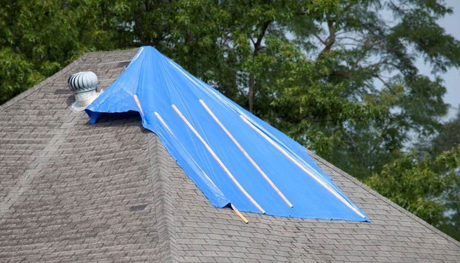 Mold Remediation Companies Near Me