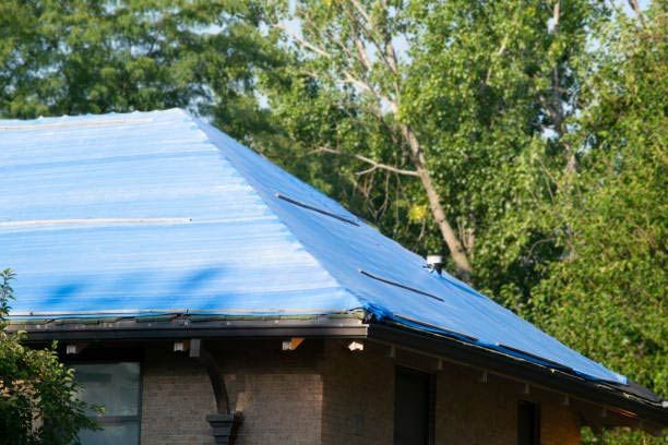 Mold Remediation Companies Near Me