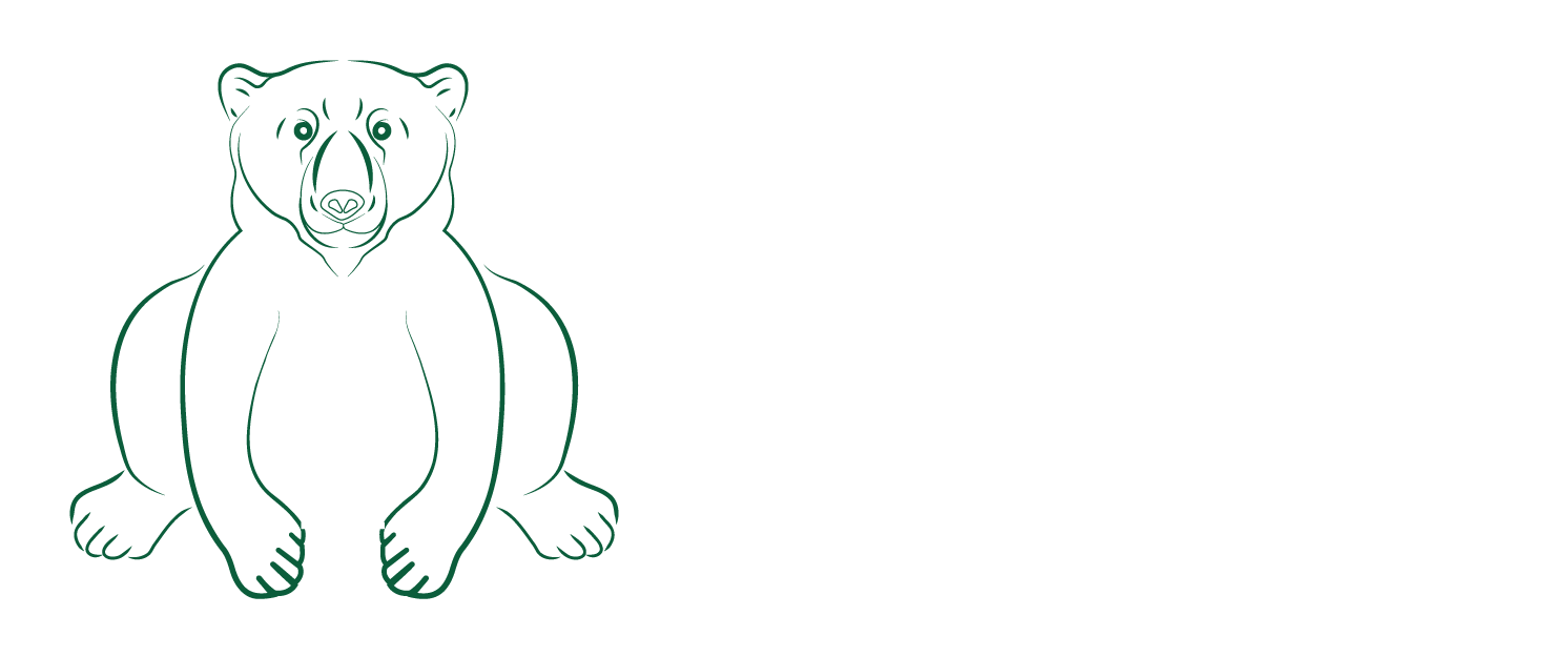 Isolation RCS Inc | Logo