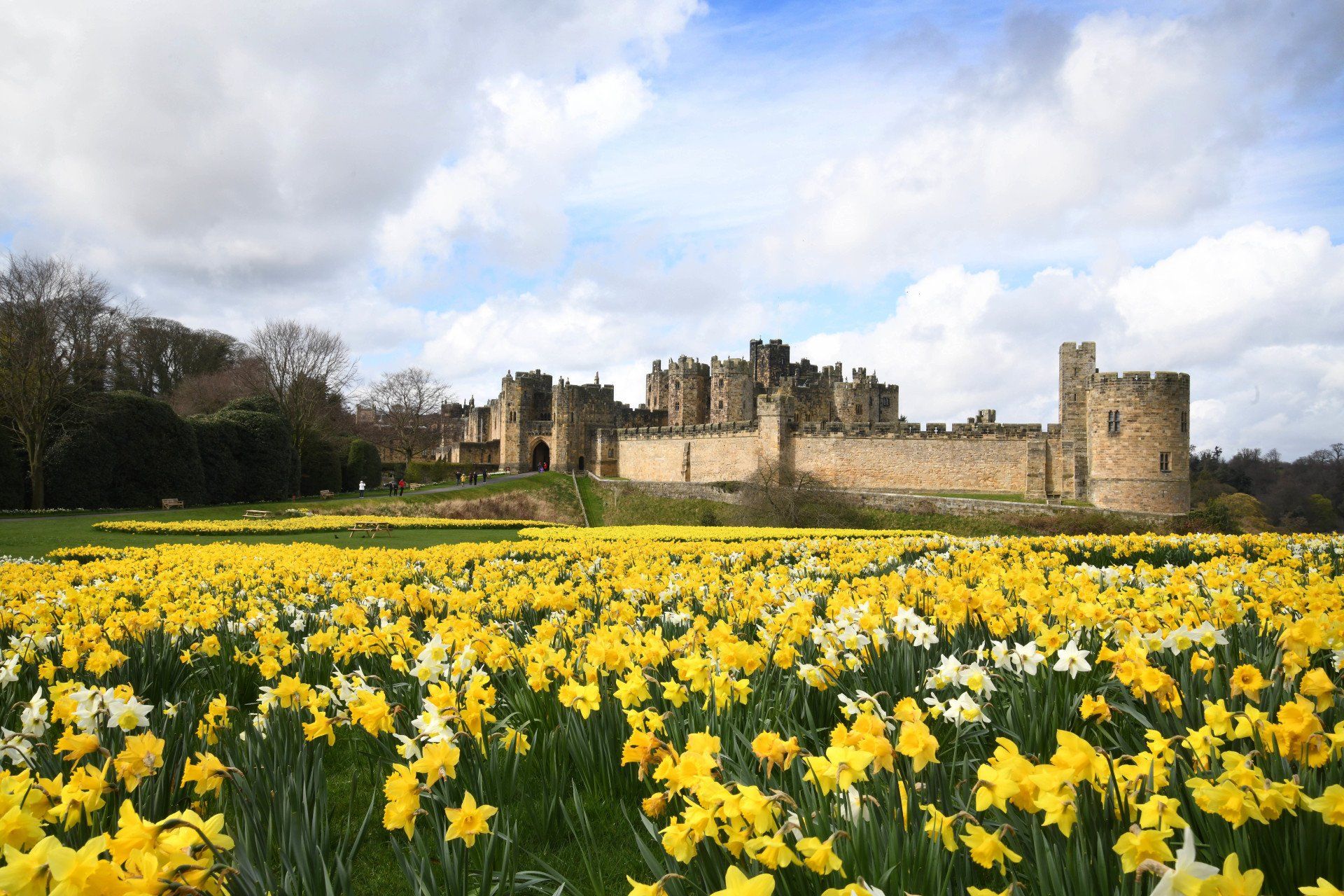 Scenic photography services