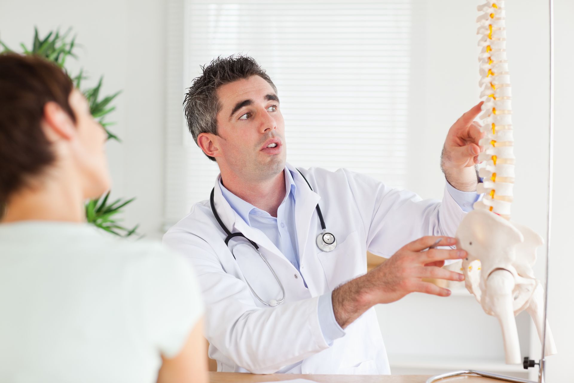 Chiropractor explaining spine model to patient during back pain consultation.