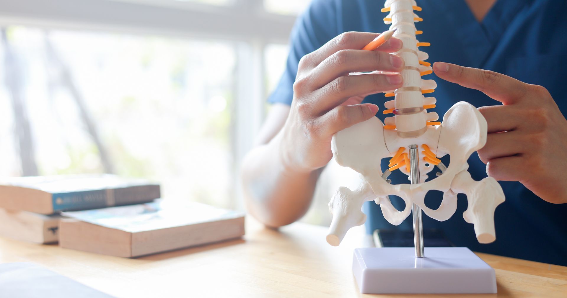 Hands pointing at a spine model on a desk with books nearby.