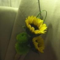 Three yellow sunflowers with green buds, held in a clear wrap against a light green background