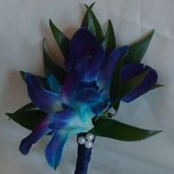 Blue and purple flower bouquet with green leaves on a dark stem