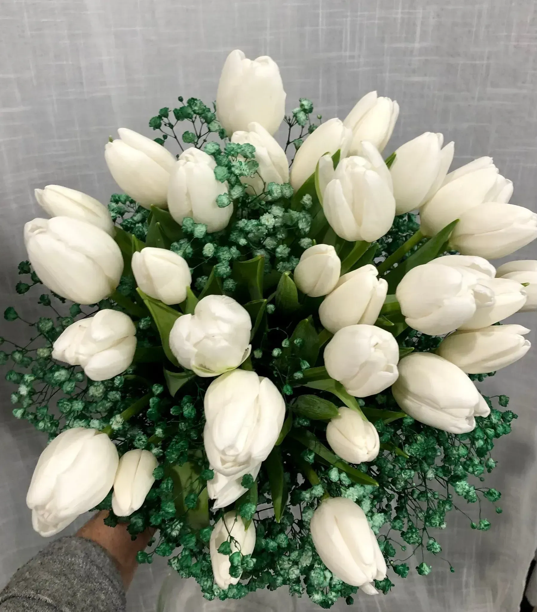 White tulips arranged in a bouquet with green foliage against a gray background.