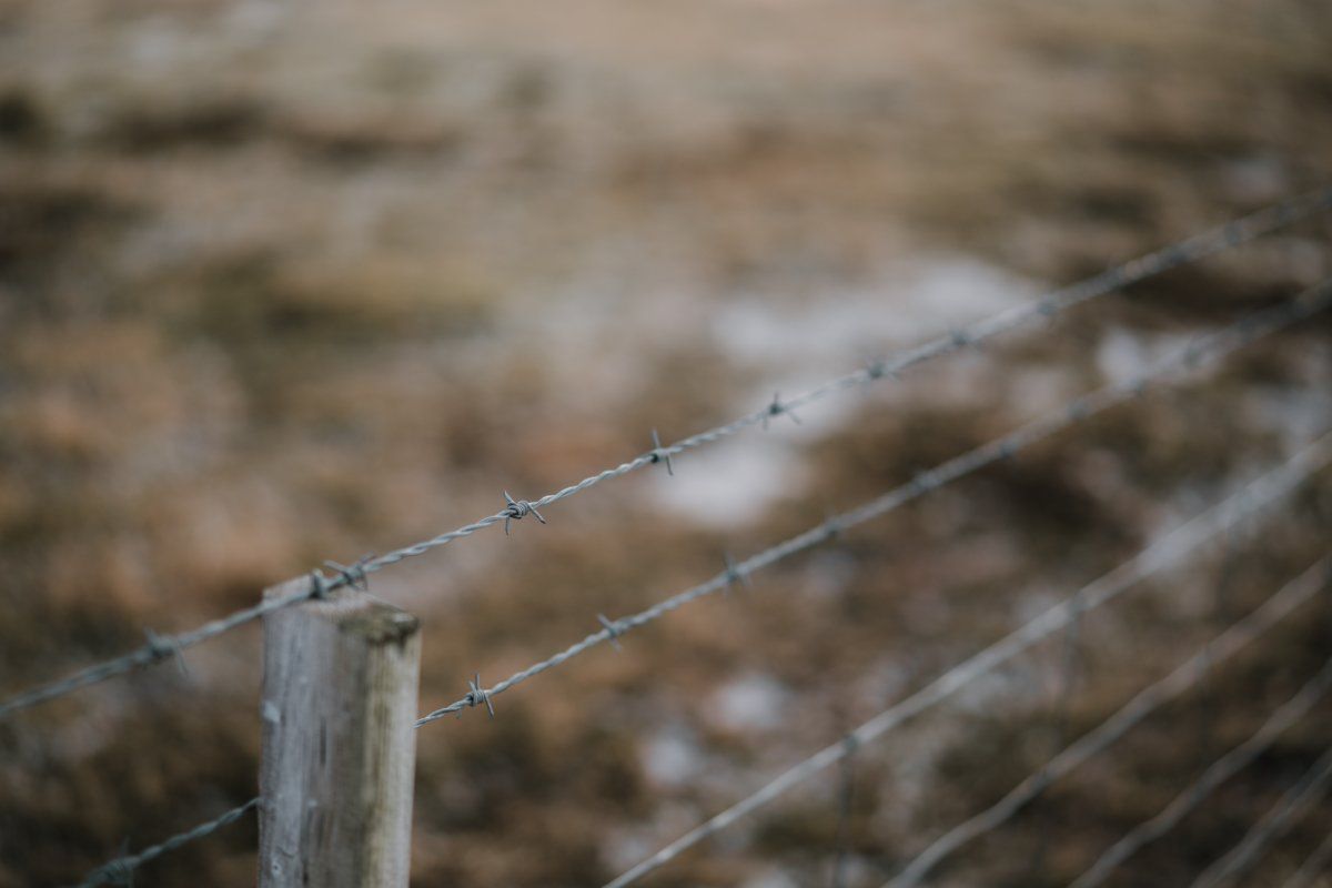 Exclusion Fencing Preparation, Essential Tips & Strategies