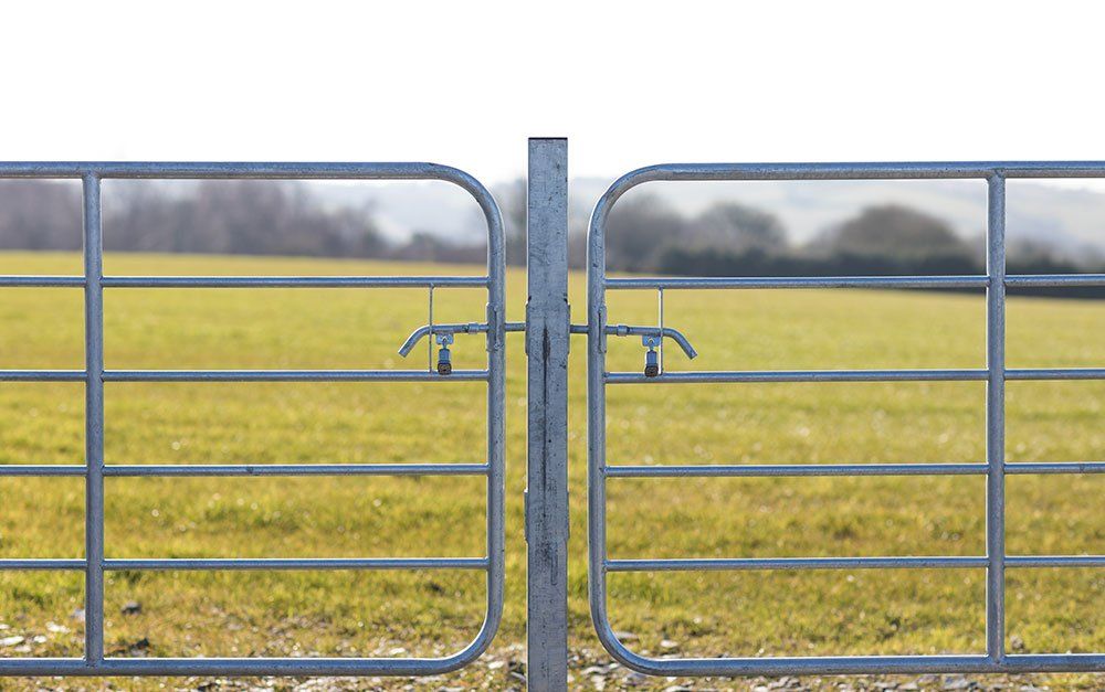 Cattle Yard Gates