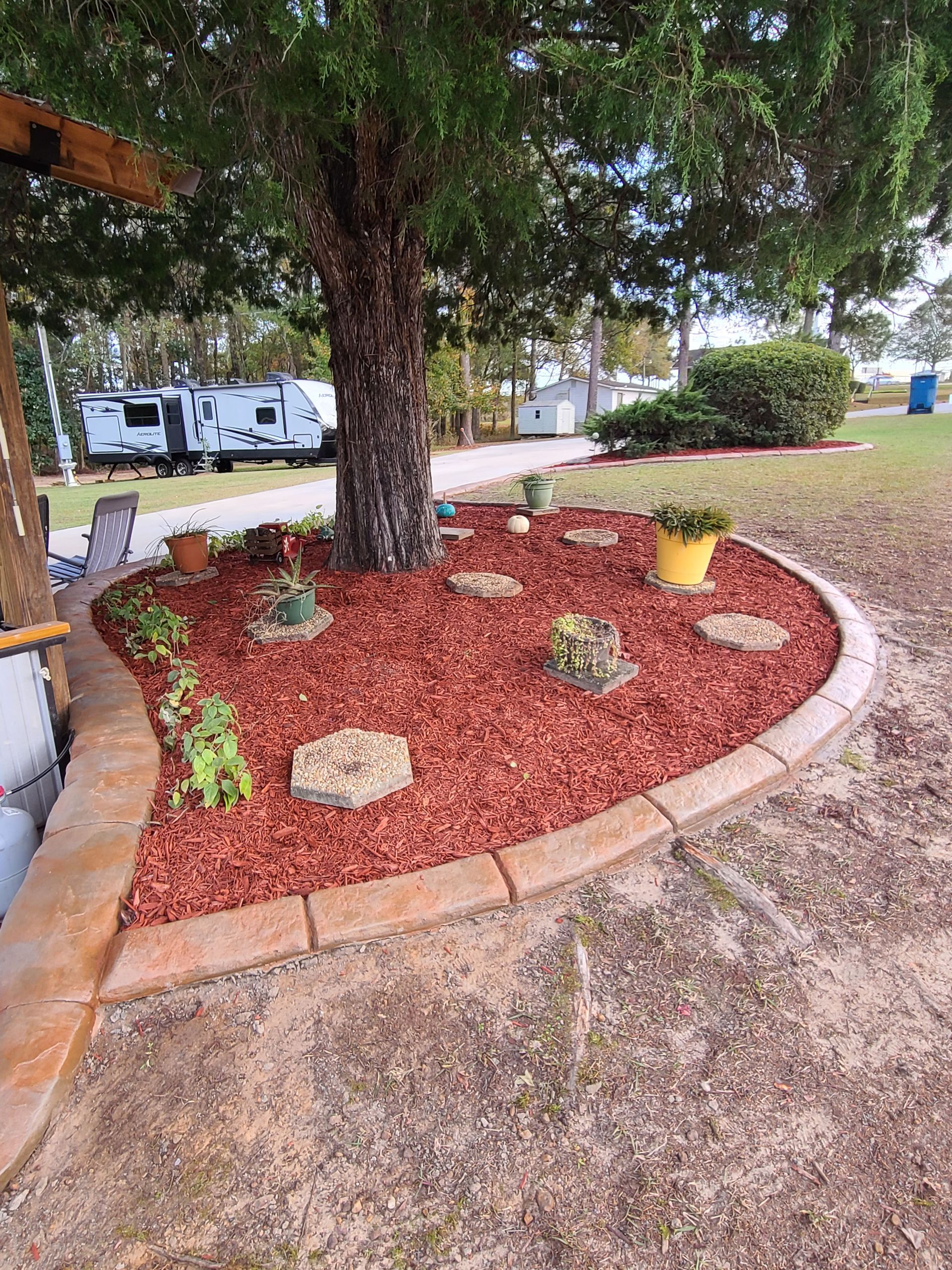 A tree is in the middle of a garden surrounded by mulch and rocks.
