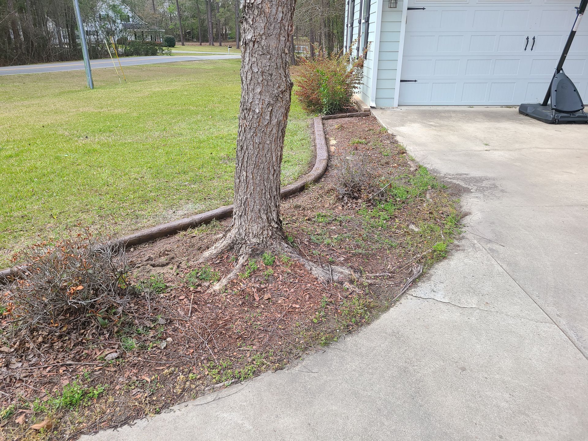 There is a tree in the middle of a driveway next to a garage.