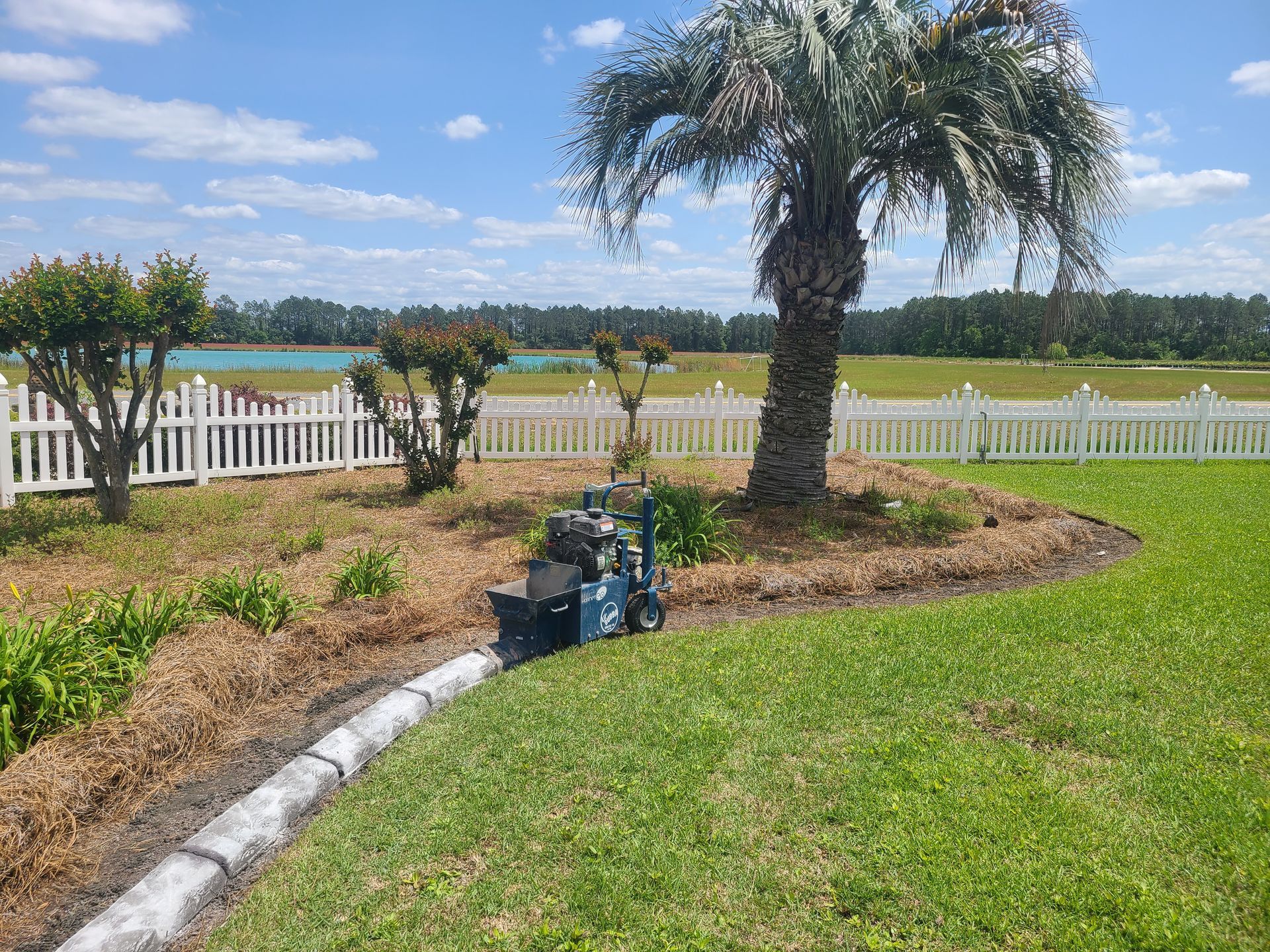 A lawn mower is sitting in the middle of a lush green lawn next to a palm tree.