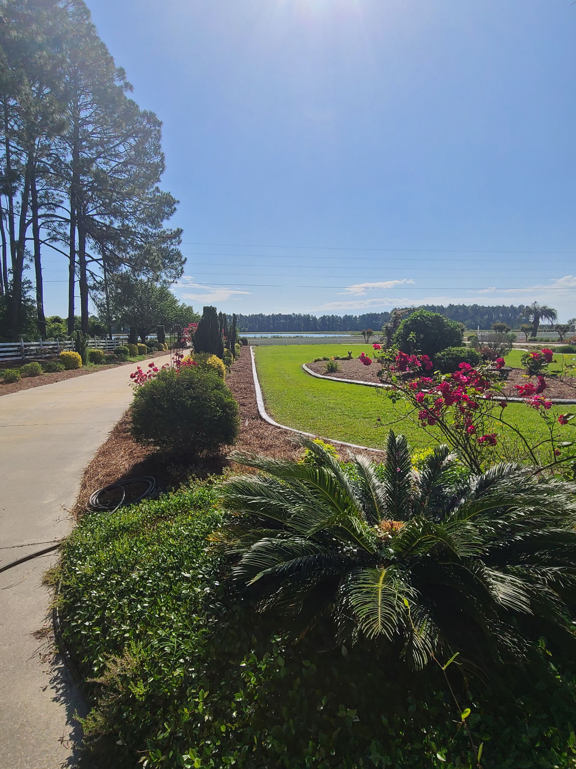 A path leading to a lake surrounded by trees and bushes on a sunny day.