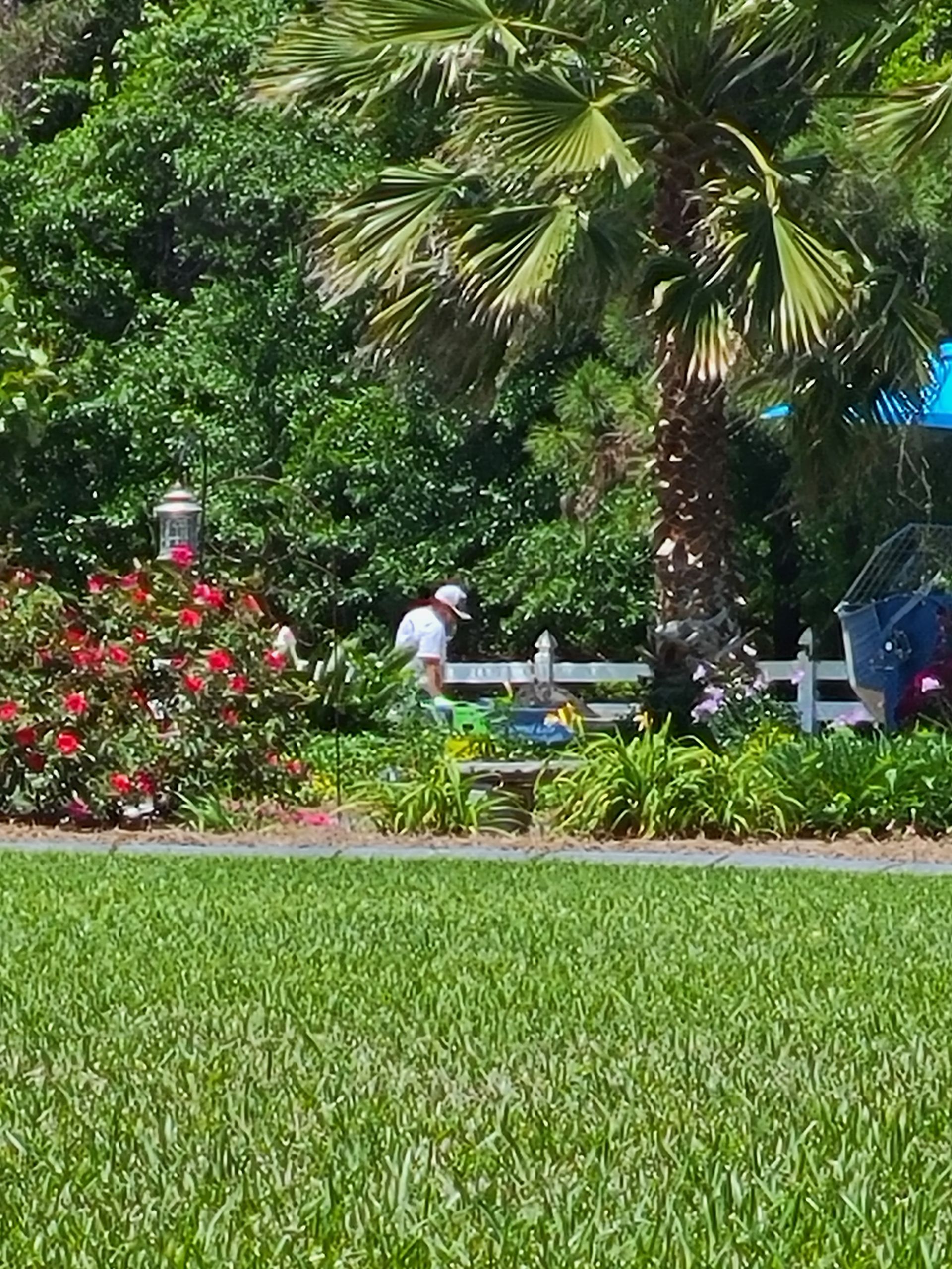 A man is standing in the middle of a lush green field.