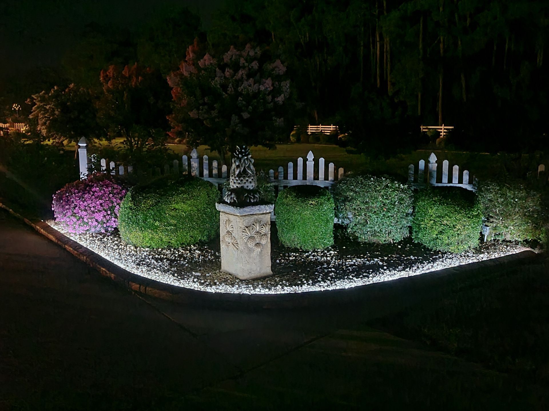 A garden with a fence and bushes is lit up at night.