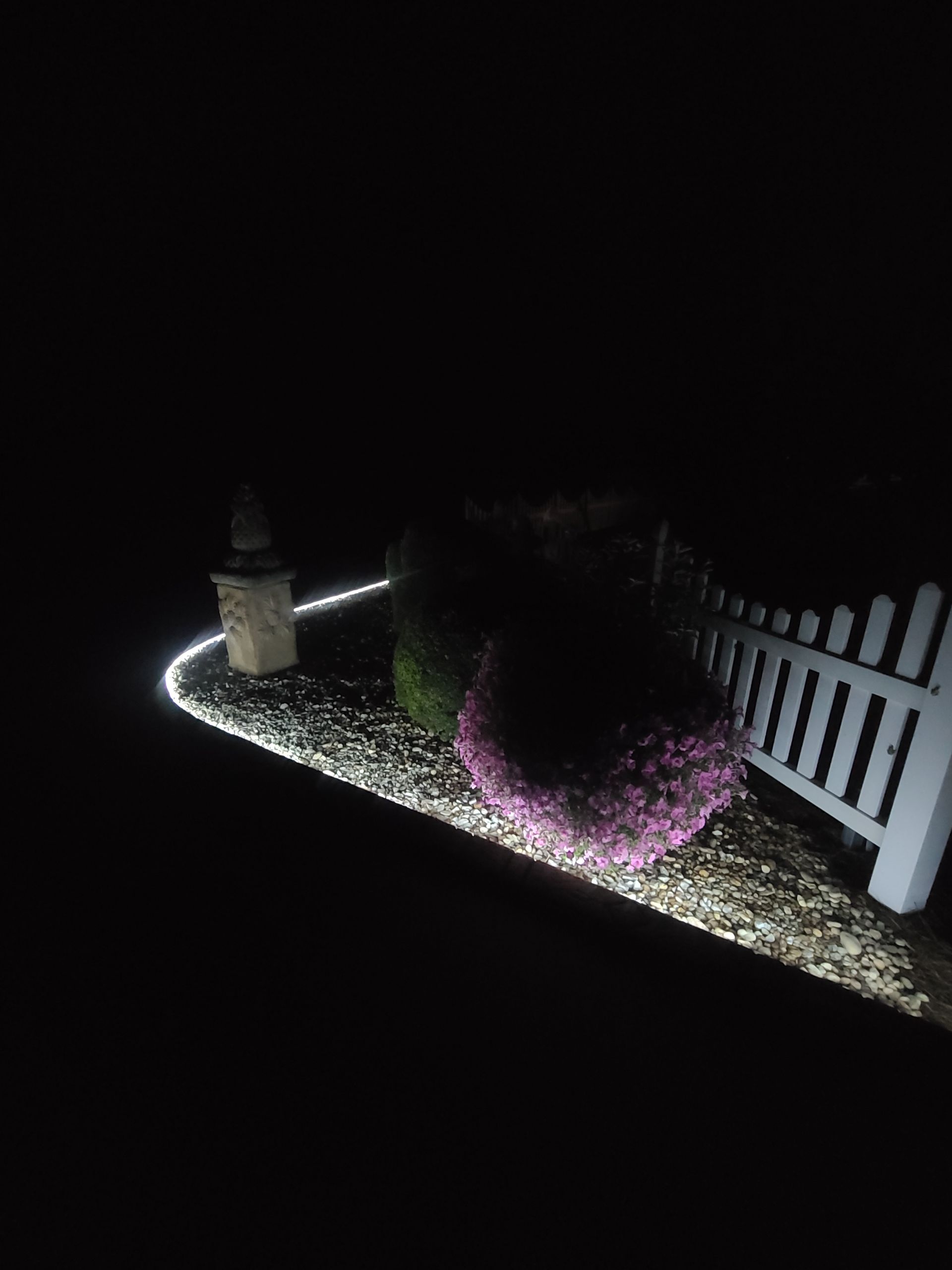 A white fence is lit up at night in a garden.