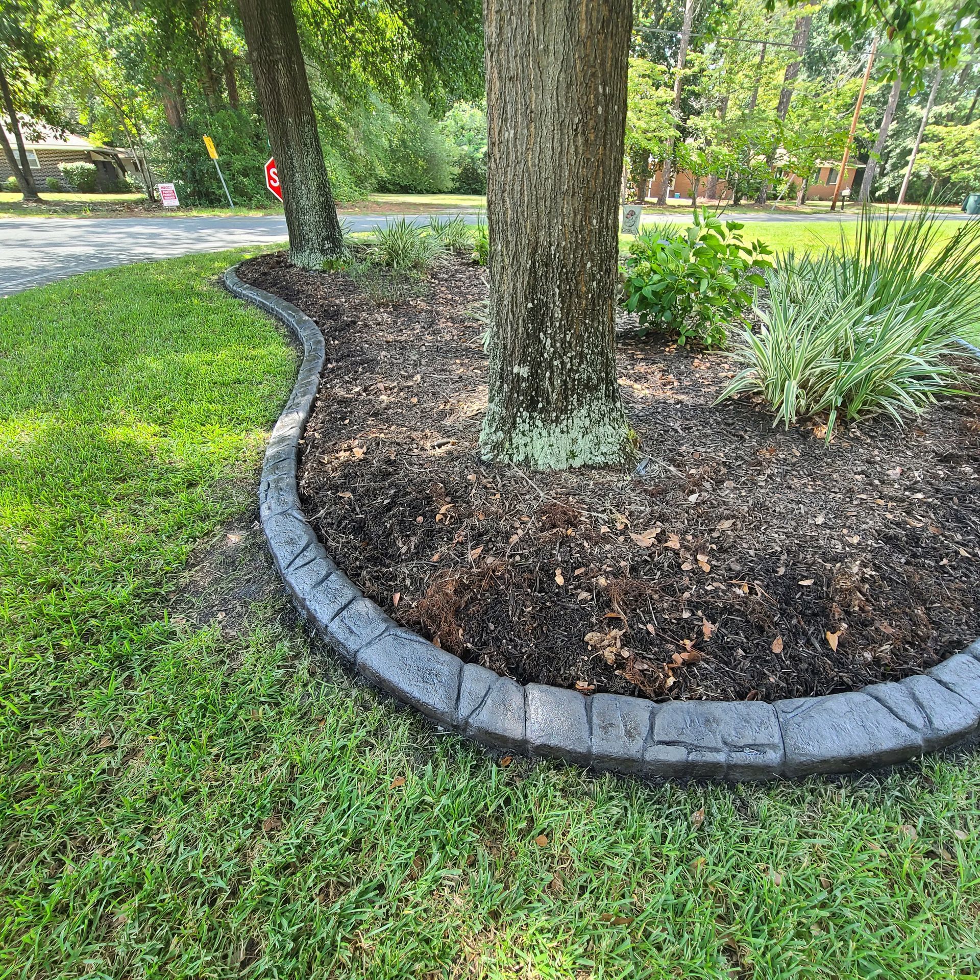 A tree in a garden with a concrete curb around it.
