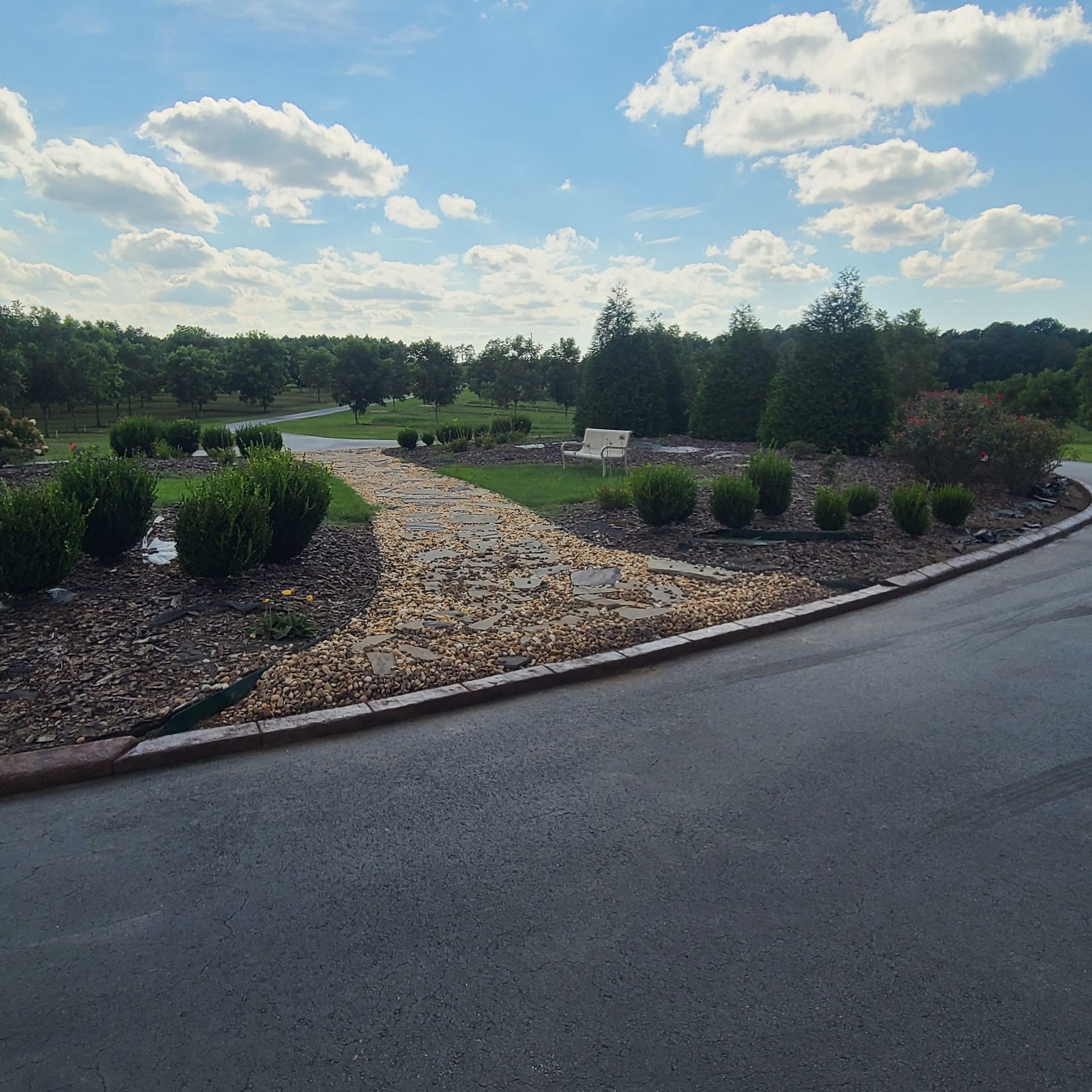 A road with trees and bushes on the side of it