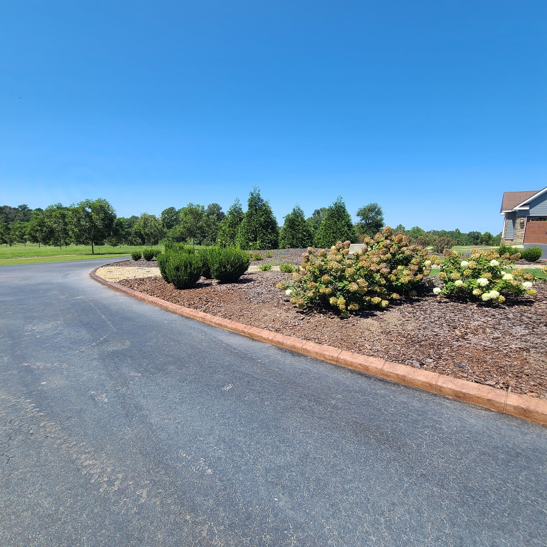 A driveway with a lot of plants on the side of it