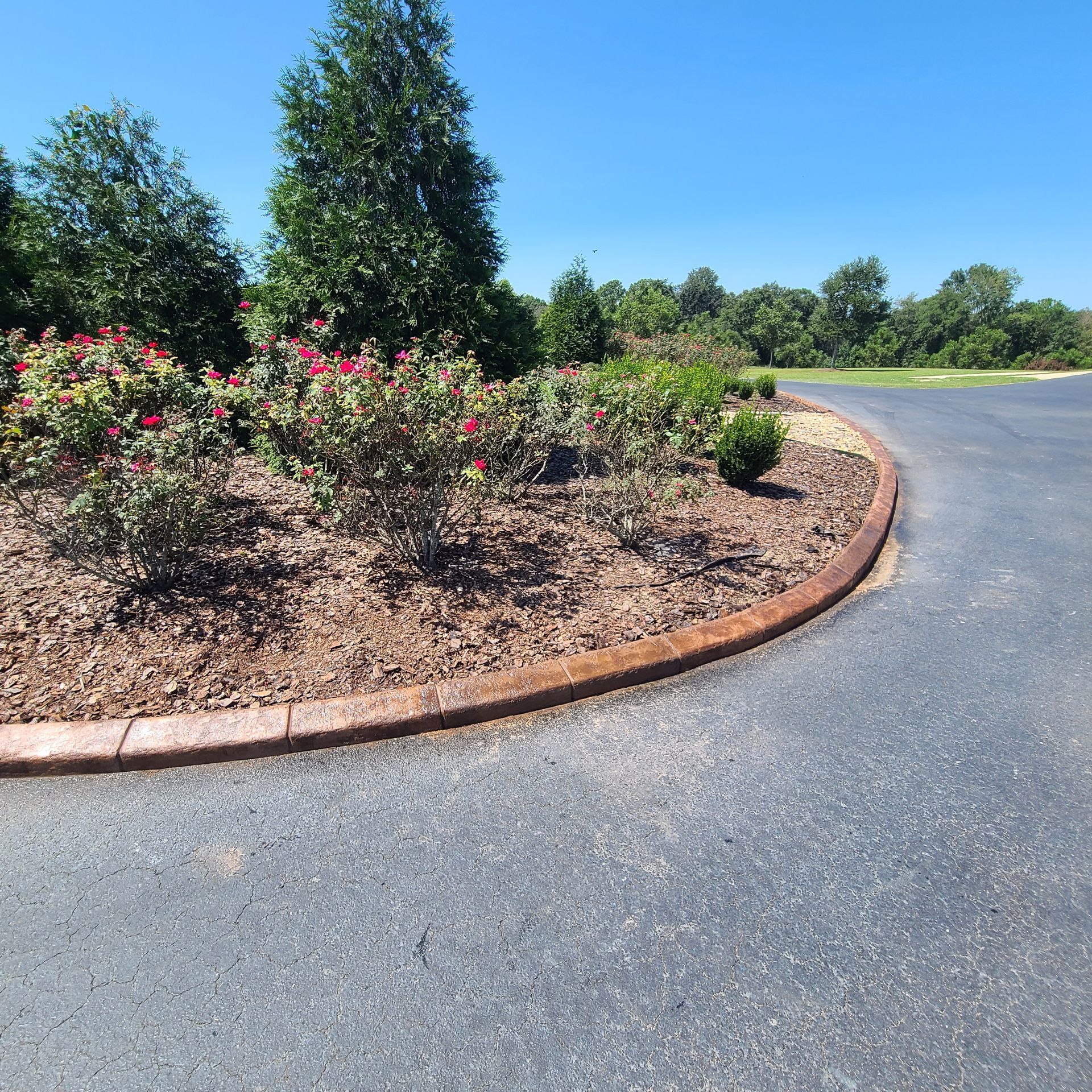 A road with a brick curb and flowers on the side