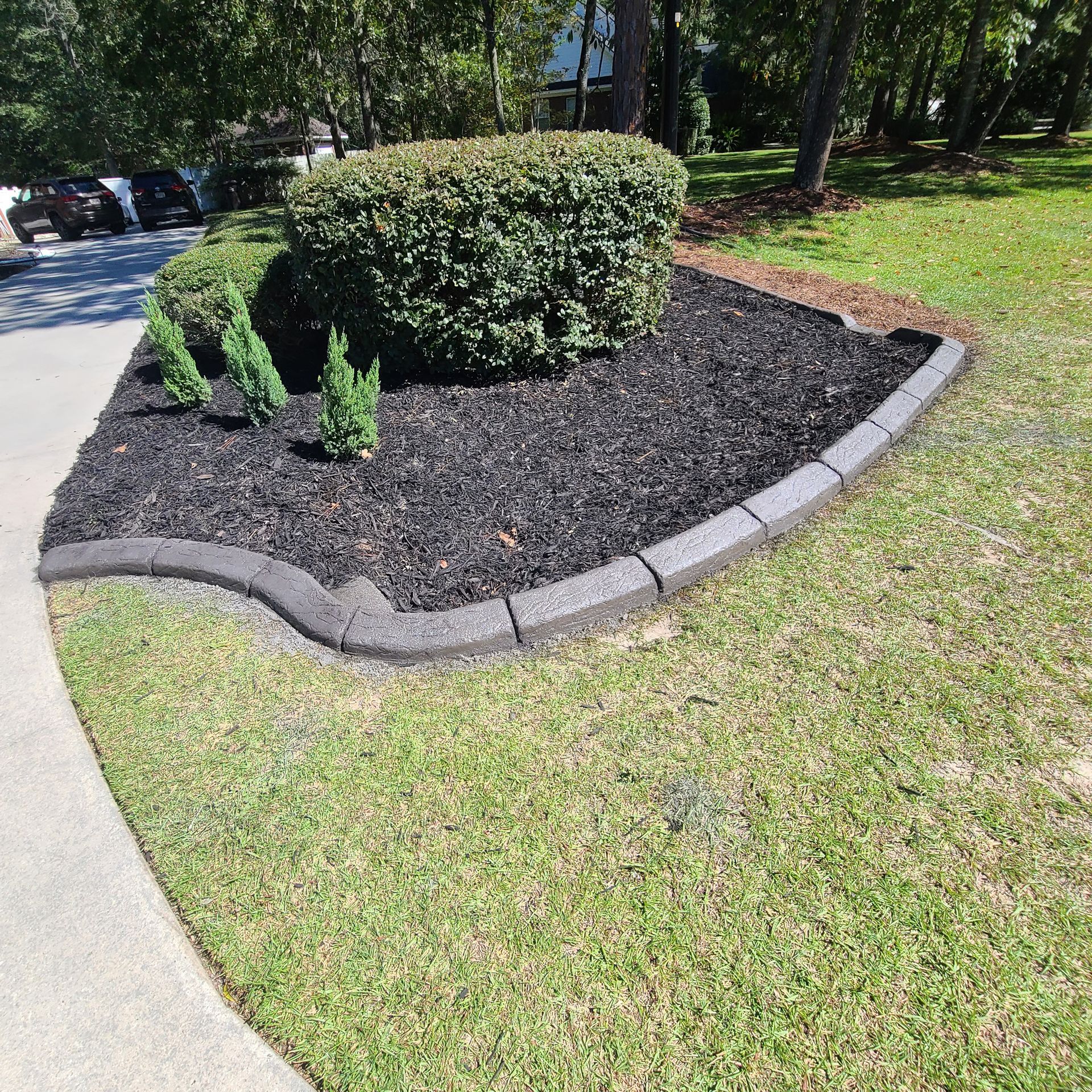 A lawn with a black mulch bed and a concrete curb.