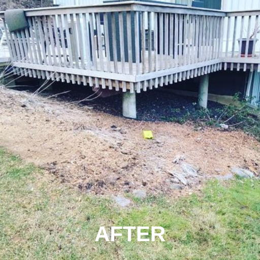 Tree Near The Deck Removed — Ware, MA — LaBier Brothers Tree Experts