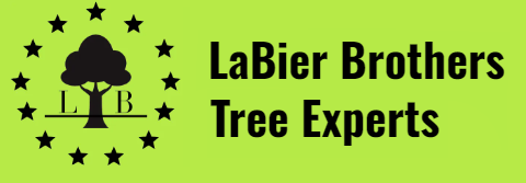 LaBier Brothers Tree Experts