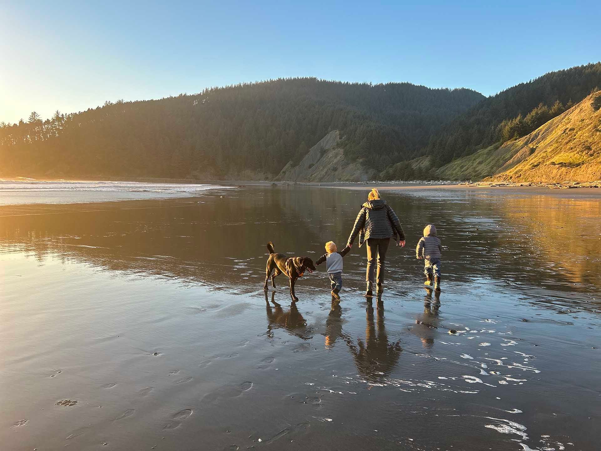 Man and Two Children Are Walking on A Beach with A Dog