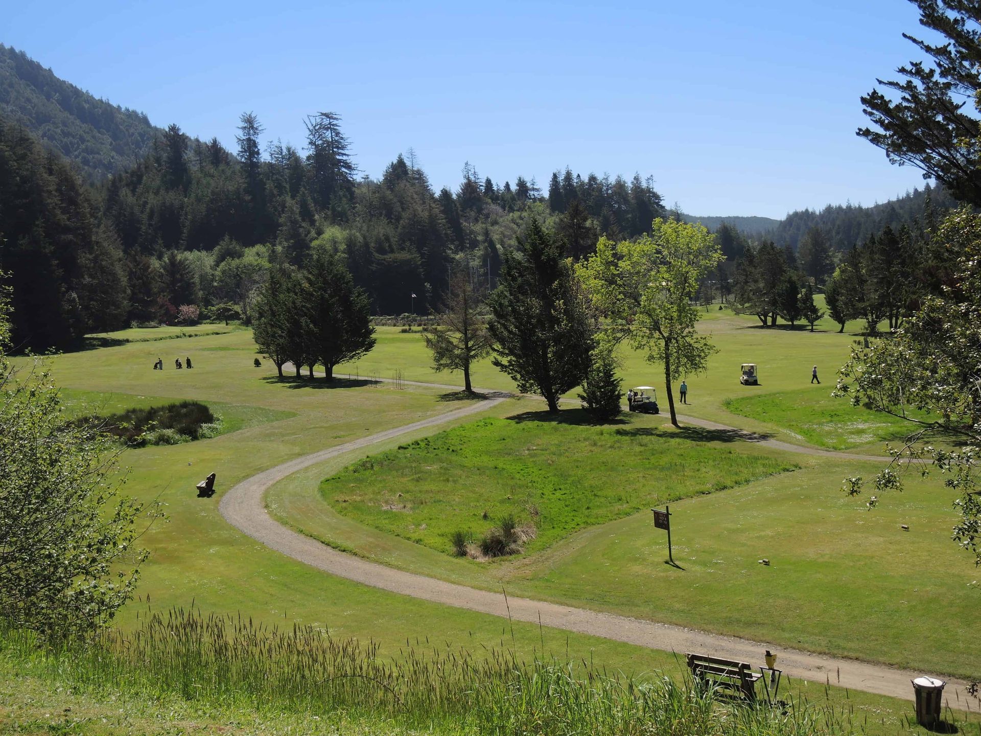 View of A Golf Course with Trees in The Background