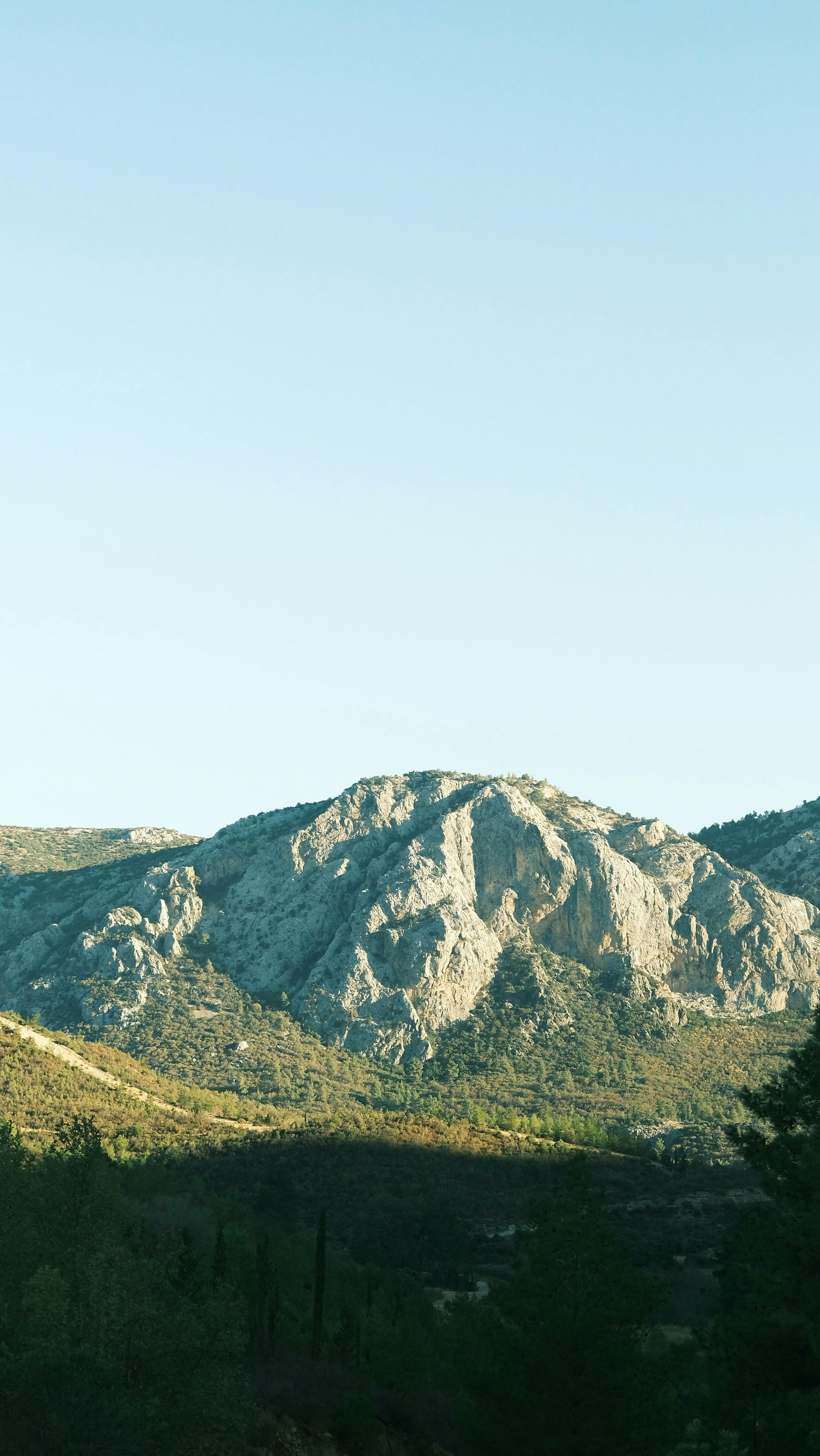 Mountain range under a clear blue sky. Shadows cast over the forested foreground.