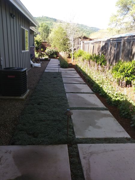 A concrete walkway leading to a house with a fence in the background.