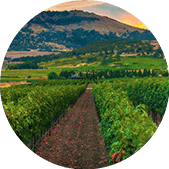 Outside view scenery with hills and trees | Leonardi Automotive