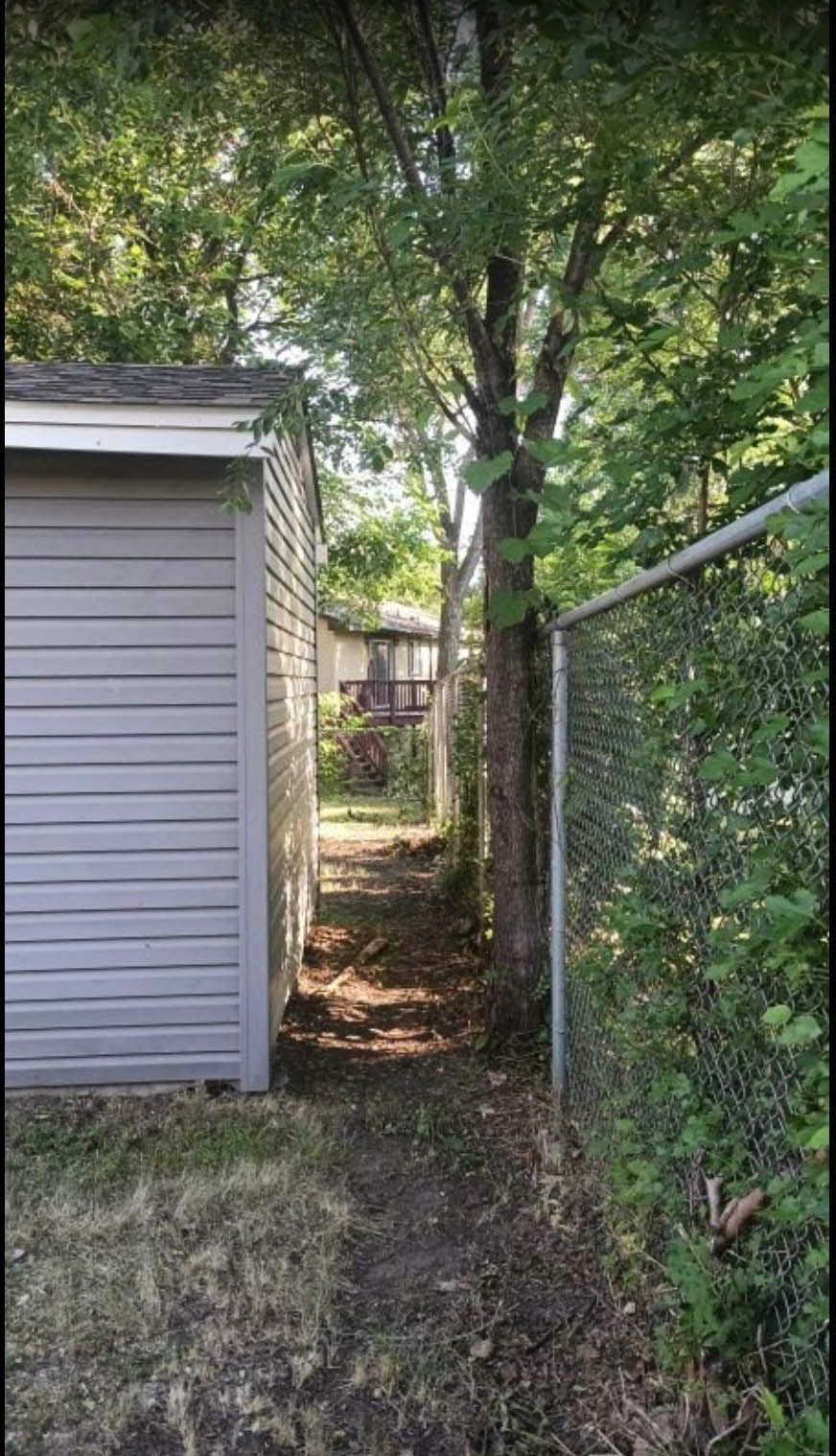 Narrow dirt path between a gray shed and chain-link fence, leading to distant buildings under trees.
