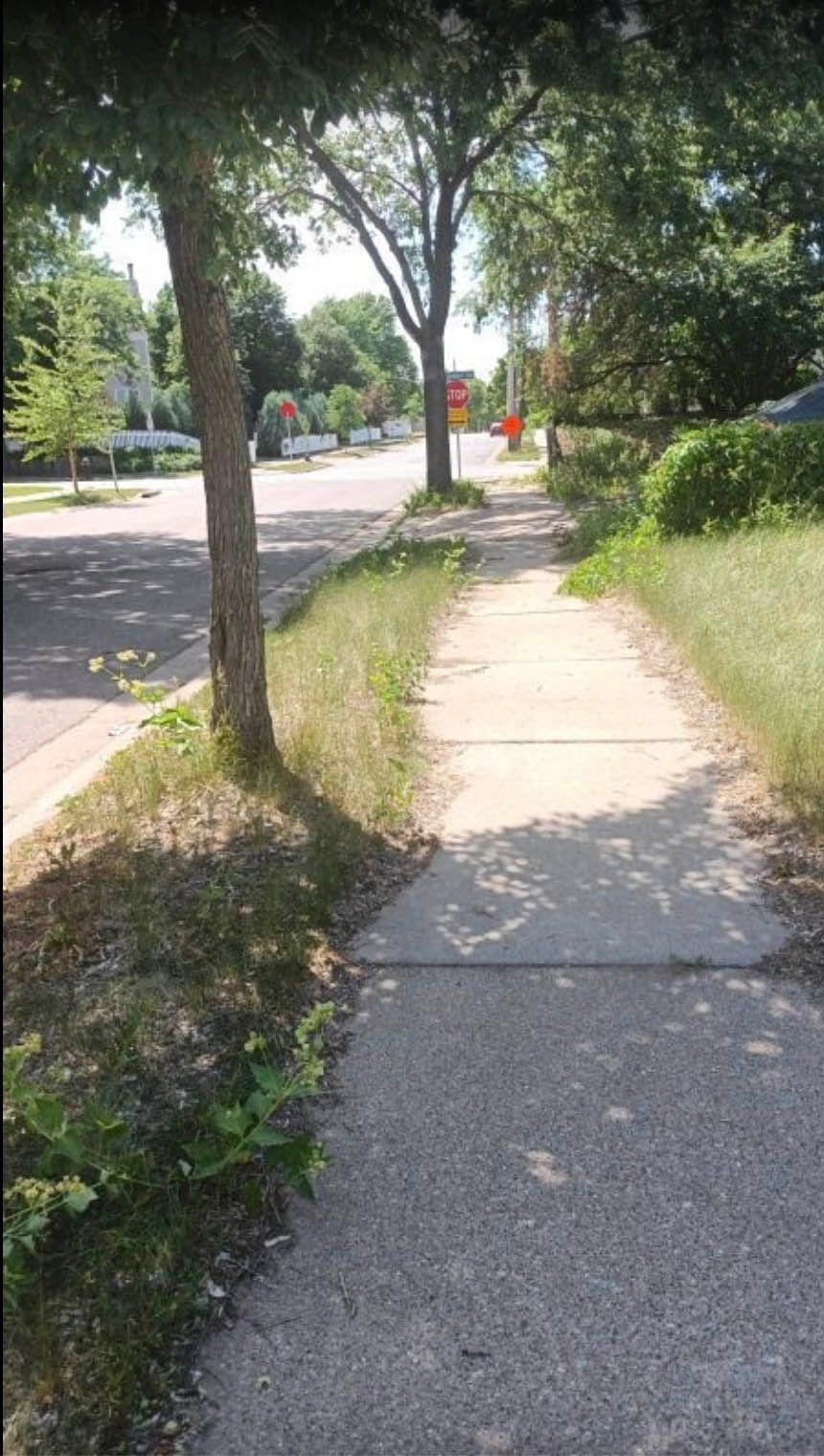 Sidewalk with trees and grassy edges beside a street on a sunny day.