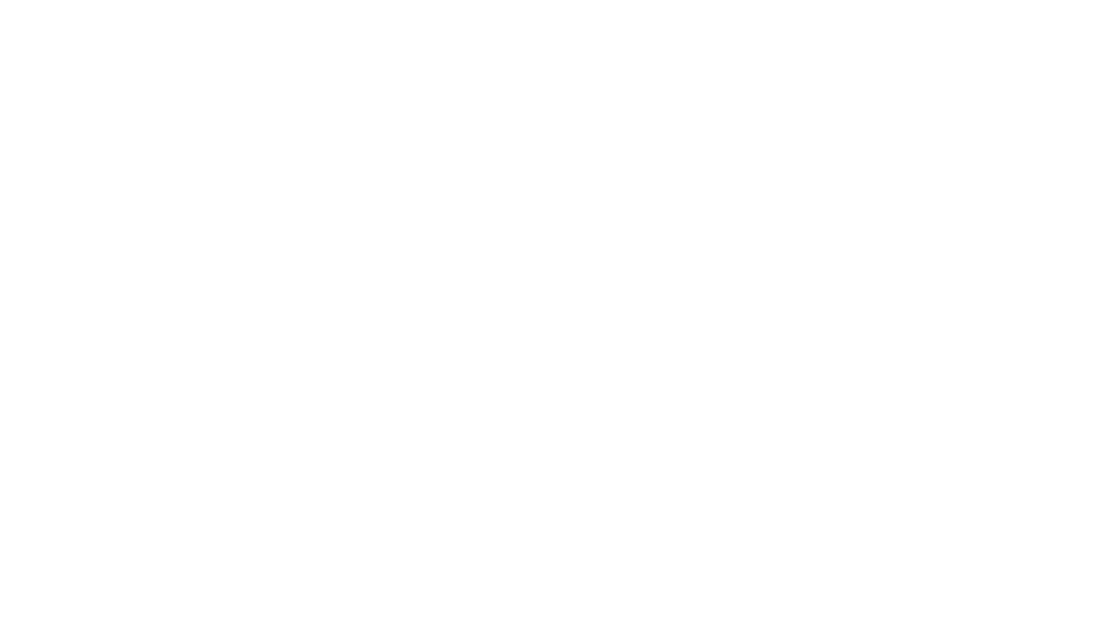 Blue Cross Blue Shield