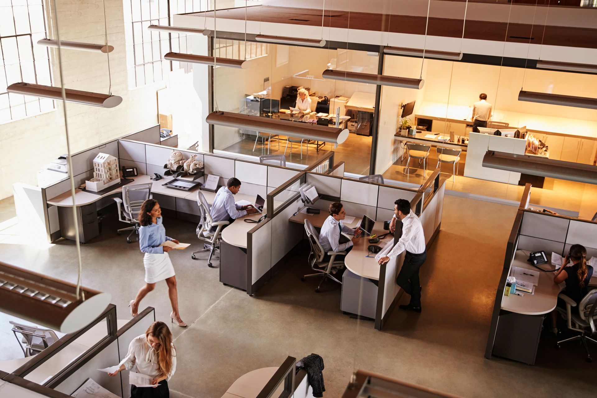 A group of people are working in cubicles in an office.