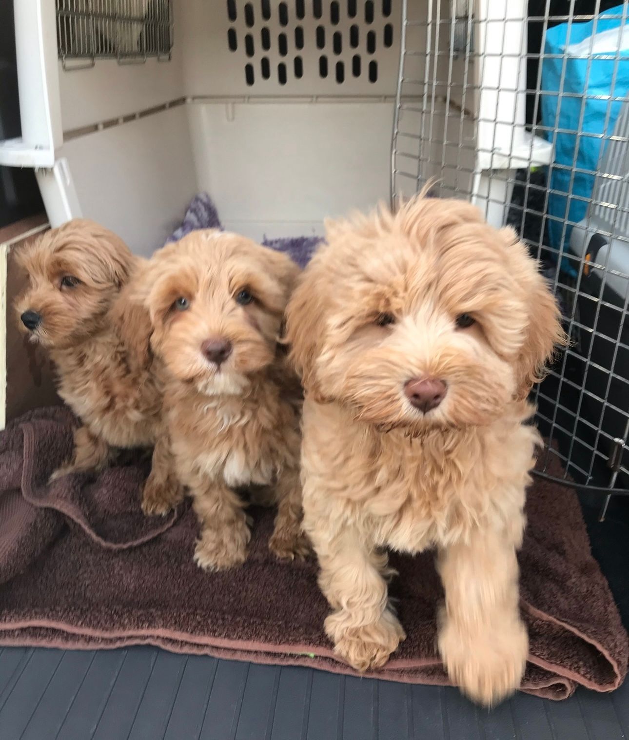 Airport services image