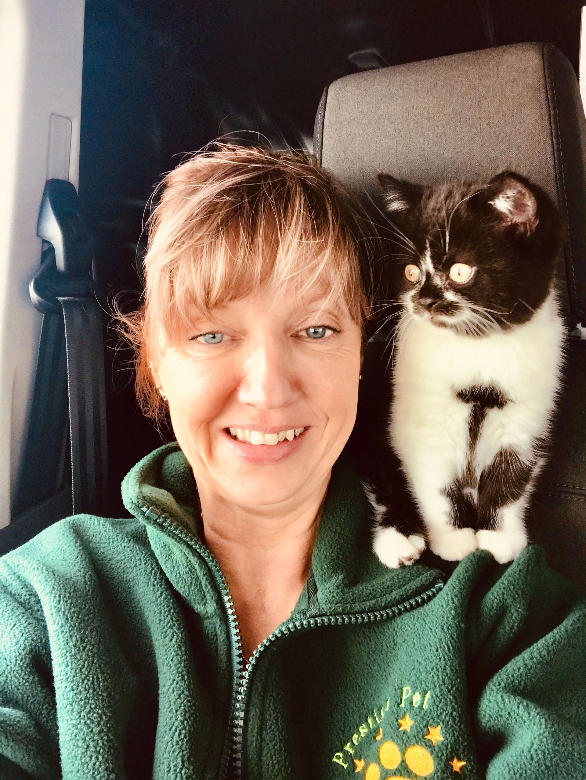 Happy cat no stress pet transport