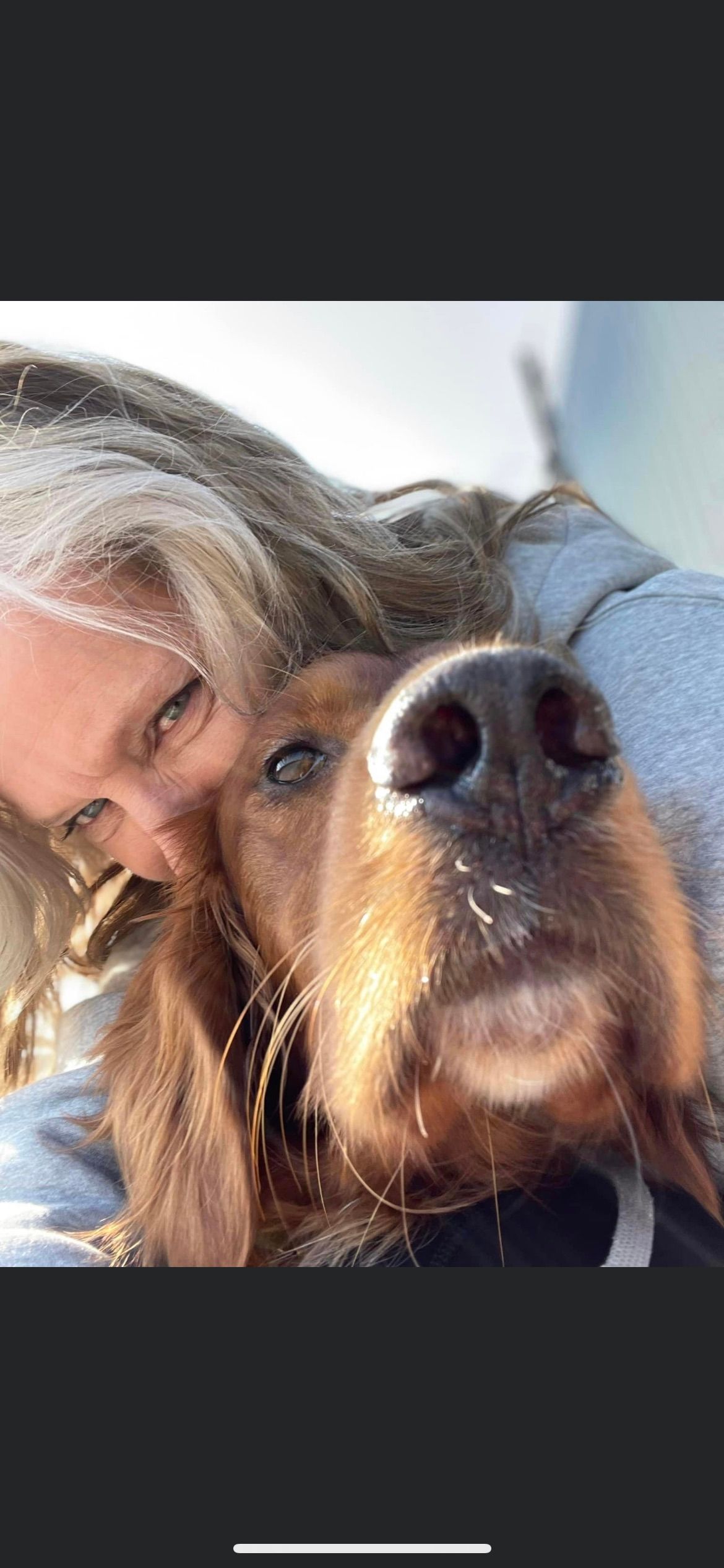 Prestige Pet Services gallery image