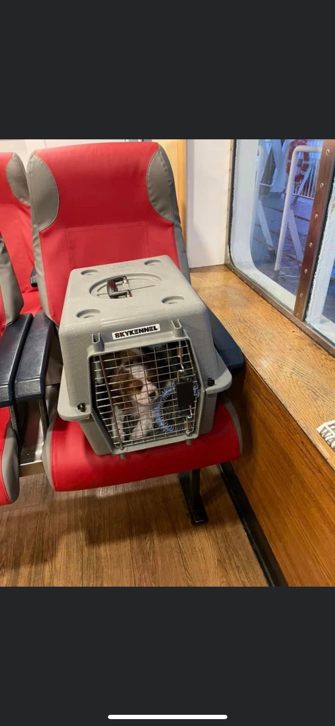 Prestige Pet Services gallery image