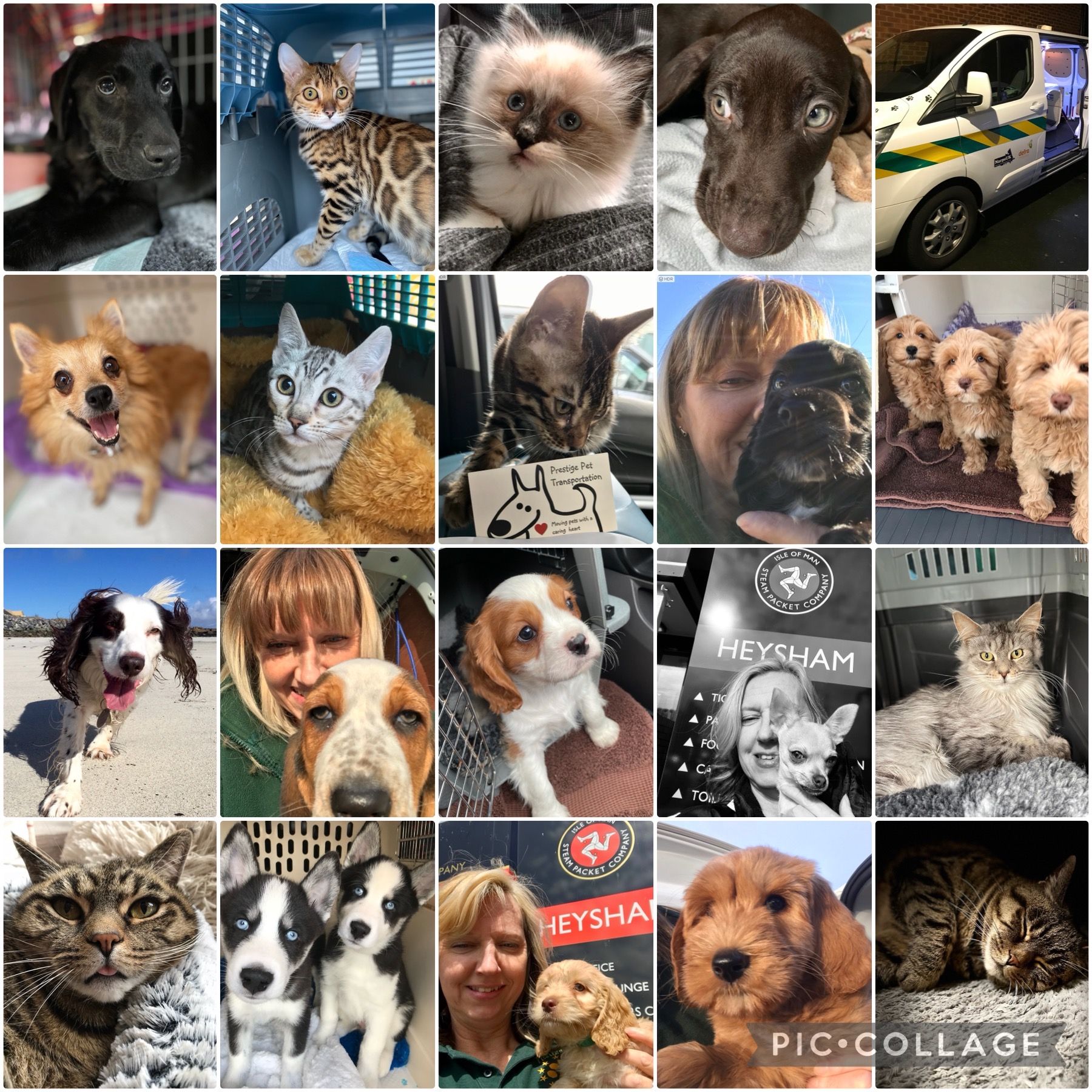 Prestige Pet Services gallery happy clients 