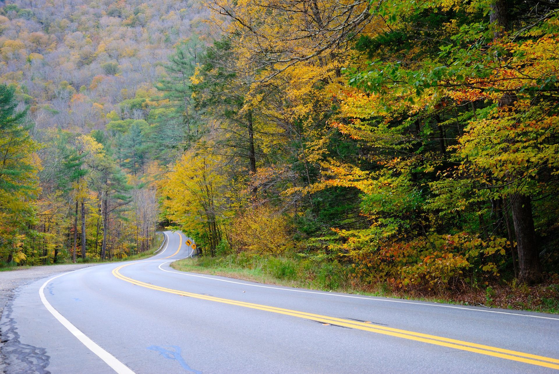 Winding road through a forest in autumn, trees with yellow and green leaves line the asphalt.