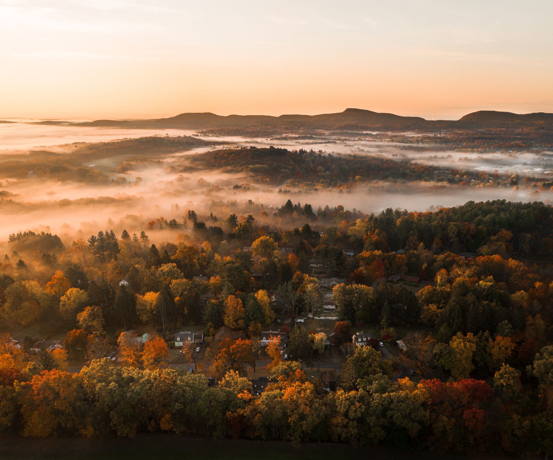 An aerial view of a foggy forest at sunset.
