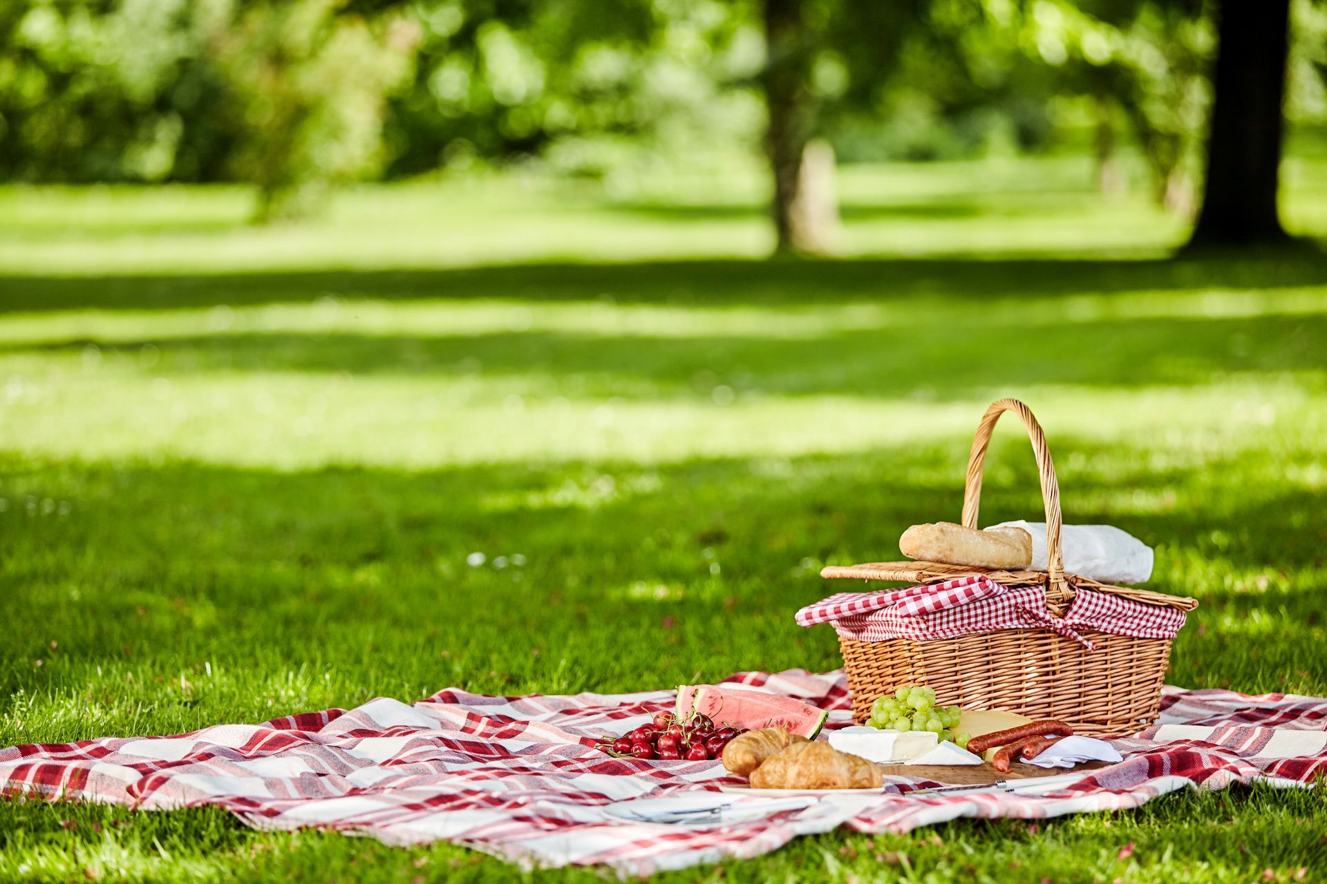 Picnic basket on a checkered blanket in a grassy park; grapes, croissant, and cheese visible.