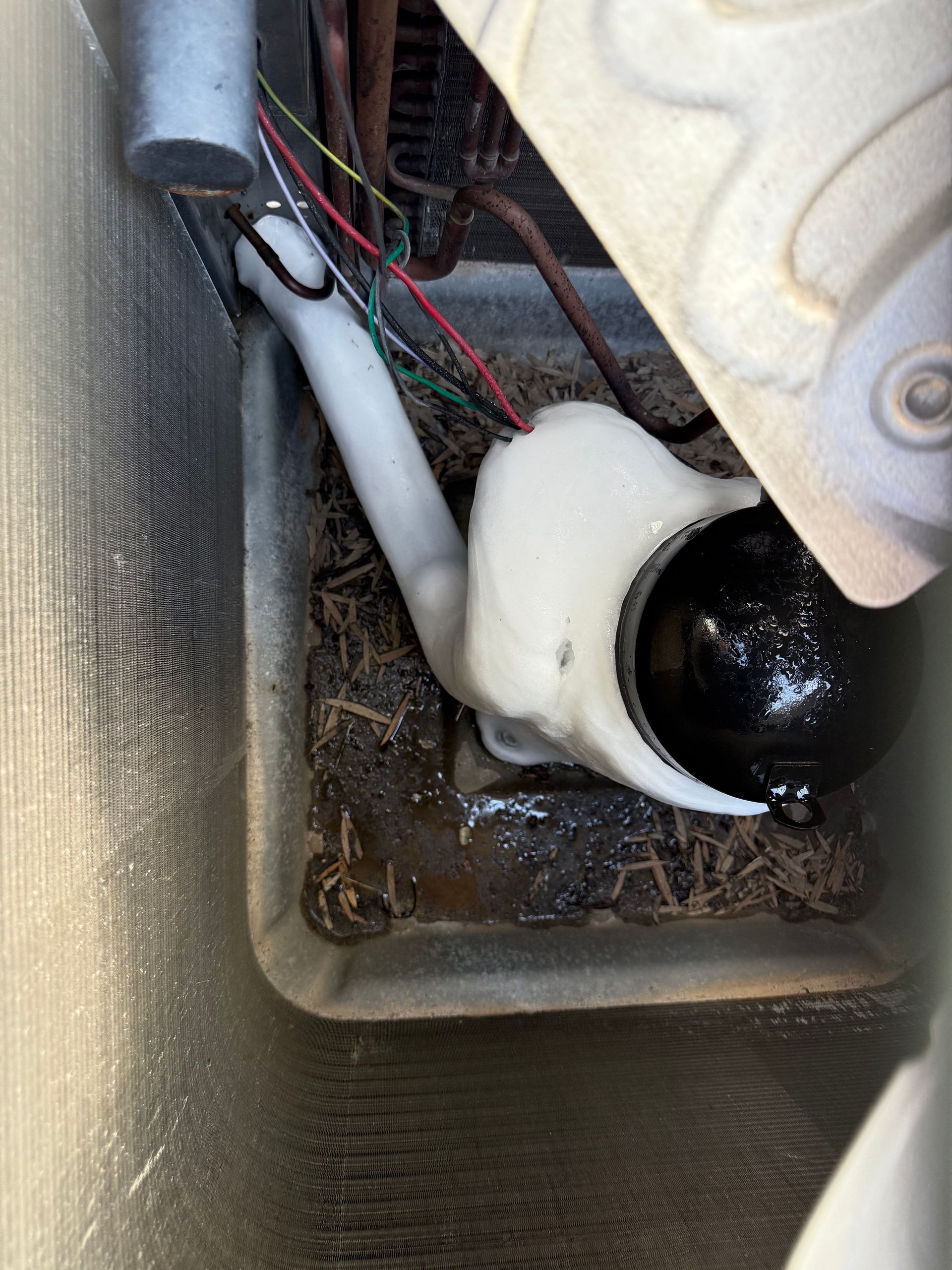 An AC condensate pump sits in a debris-filled drainage pan, with white plastic casing and black motor housing visible.