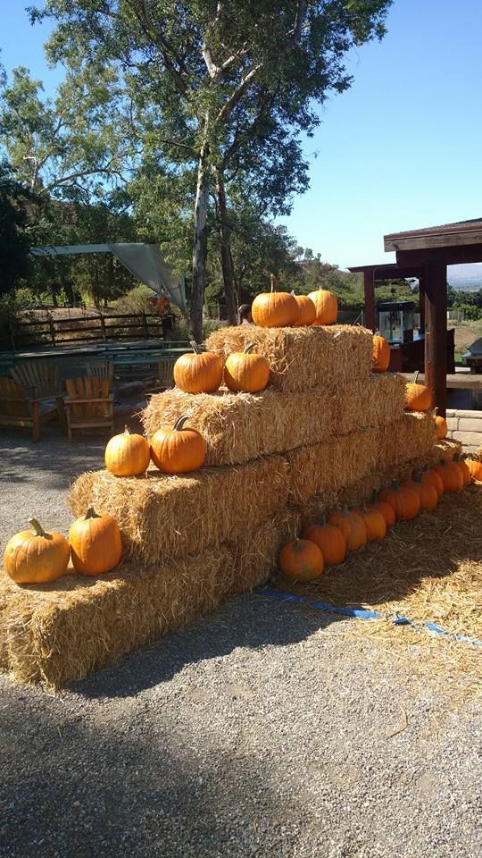 A stack of hay bales with pumpkins on top of them.