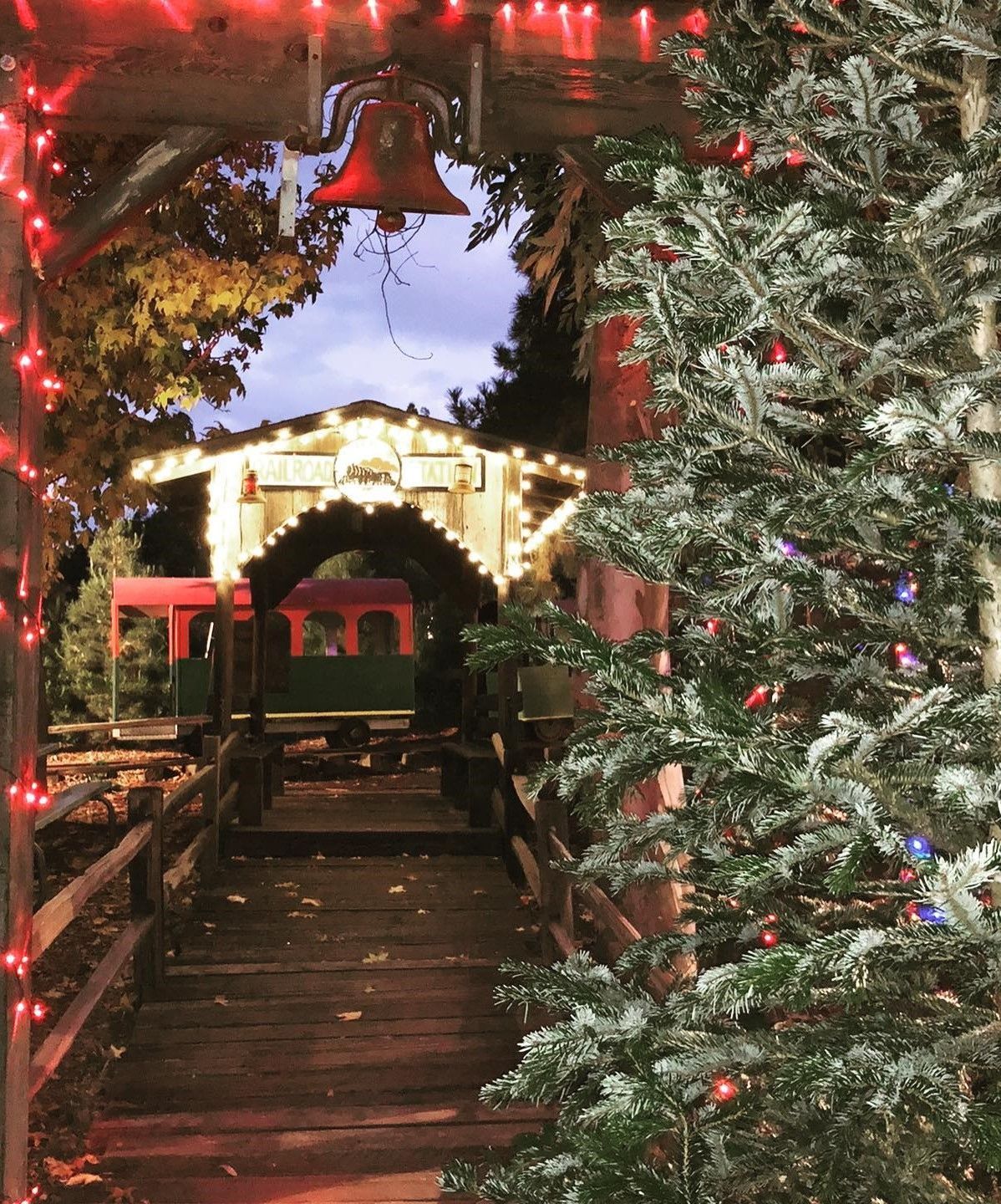 A Christmas tree with a train in the background
