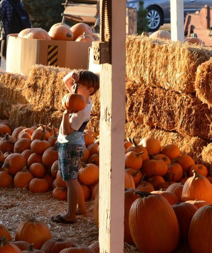 A young boy stands in front of a pile of pumpkins