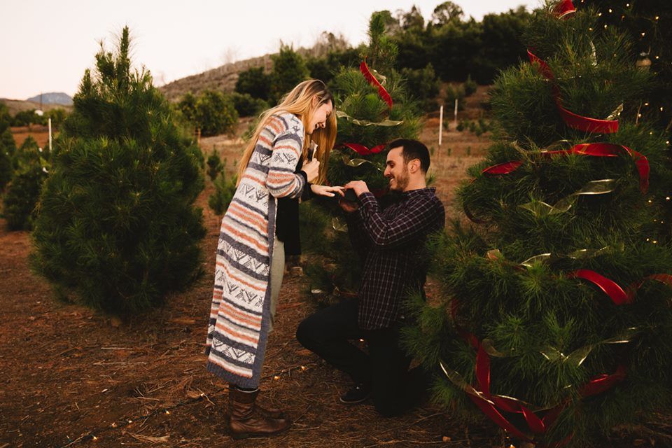 a couple getting engaged in the middle of pines, right here at Greenspot Farms! Awesome
