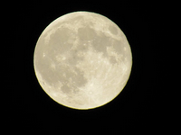 Haunted Hayride Inland Empire - Full moon at the Haunted Hayride night time durring halloween 2018