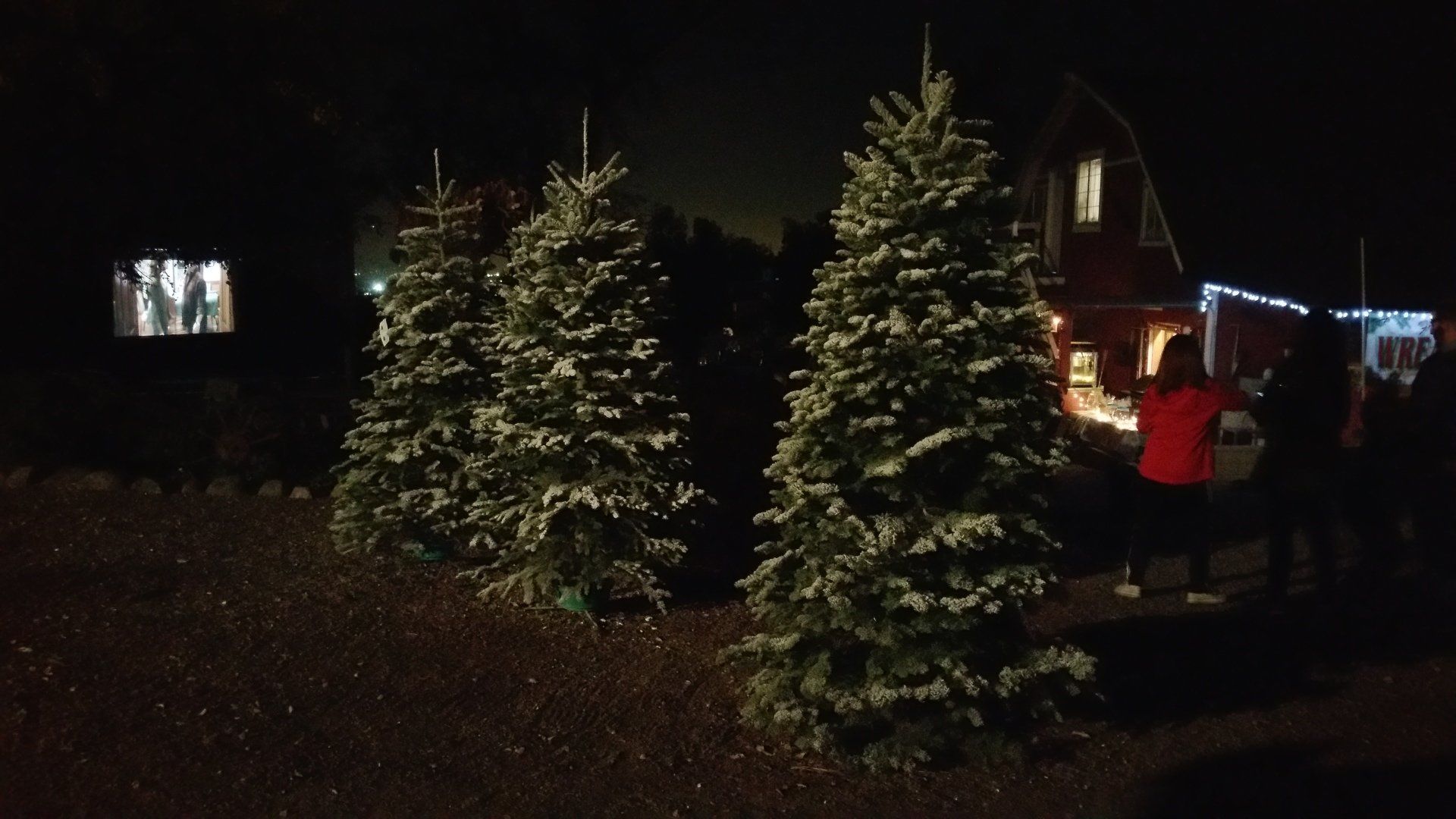 Christmas Tree Farm Lighted Hayride on the farm